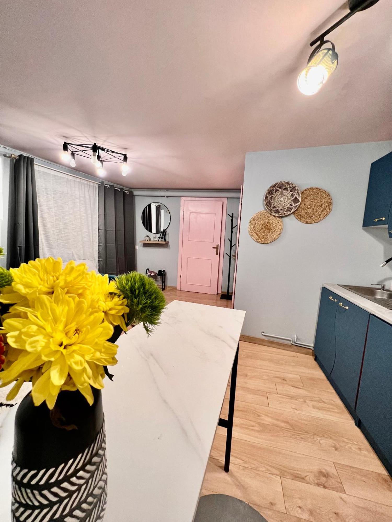 Old Town City Center Apartments Braşov Eksteriør bilde